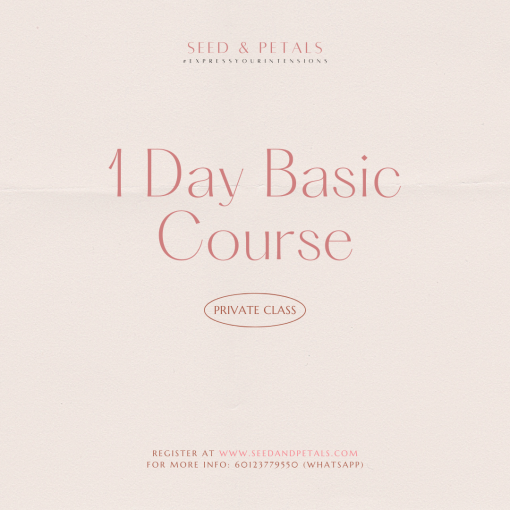 1 Day Basic Course