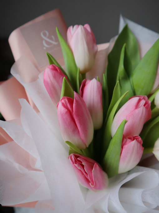 Angelique Tulips